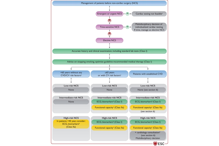 Cardiovascular risk in noncardiac surgery